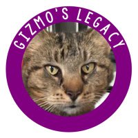 Gizmos Legacy(@gizmos_legacy) 's Twitter Profile Photo