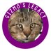 Gizmos Legacy (@gizmos_legacy) Twitter profile photo