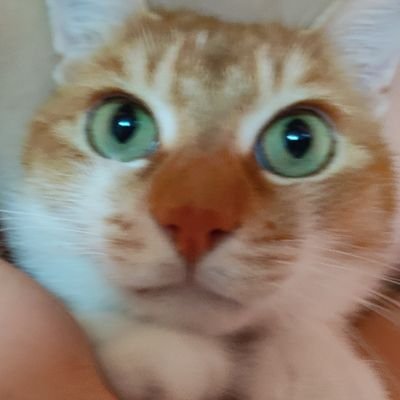 qE5srz05I2EzIjh's profile picture. 県大 薬 1年