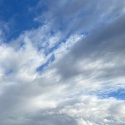 bell_sec's profile picture. 