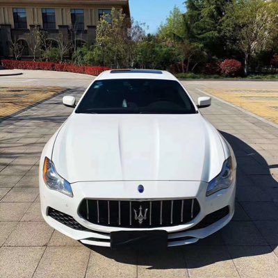 HxAlGM5O56v7qrf's profile picture. 