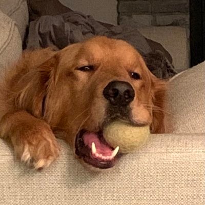 LK25212664's profile picture. 