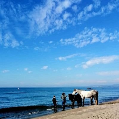 carneade4's profile picture. chi era costui?