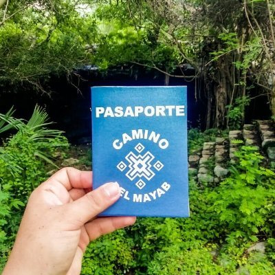 CaminoMayab's profile picture. Somos la oportunidad de que vivas la esencia maya de la selva y la cultura, en una red de más de 100 kilómetros de bellos y antiguos caminos.