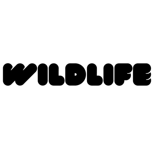 Wildlife is a lifestyle of young people meeting together, growing in God and reaching their friends. Living for a cause greater than themselves.