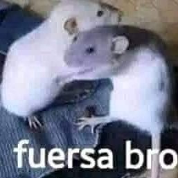 UnaLacrah's profile picture. 😷