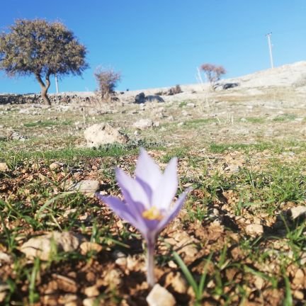 Ehmedozen's profile picture. SAĞLIK VE SOSYAL HIZMET EMEKÇILERI SENDIKASI - SES