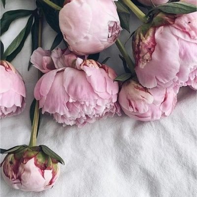 هناء الكعبي ♕さんのプロフィール画像