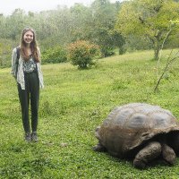 Amy Elizabeth Shipley (@sauropodlets) 's Twitter Profile