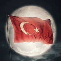 Türk 🇹🇷🇹🇷(@Trk84760402) 's Twitter Profileg