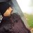 robin_thomas's profile image