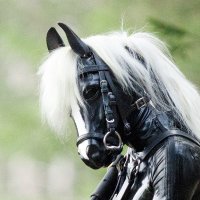 Wild Horse (@wildestcolt) 's Twitter Profile
