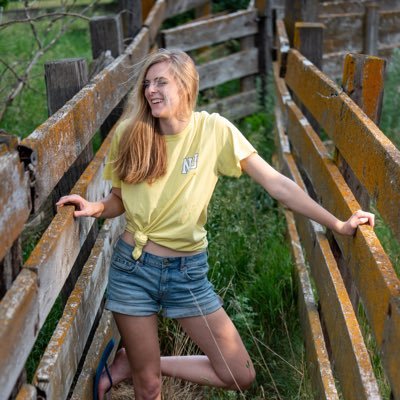 lordhan246's profile picture. 💙Probably somewhere playing 🏐💛