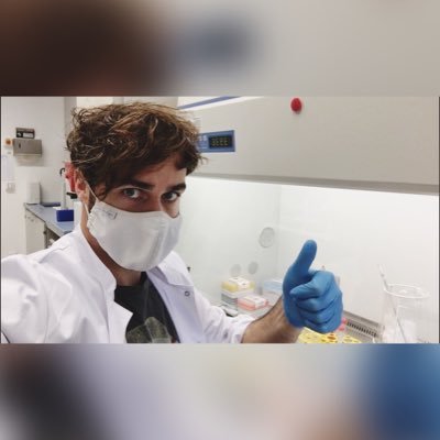 PhD Student at Bernhard Nocht Institute for Tropical Medicine