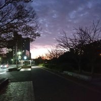SAUNAライフ (@trytrytry200012) 's Twitter Profile
