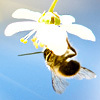 Going Green with Eco Friendly Tips! Go Green and make a difference!