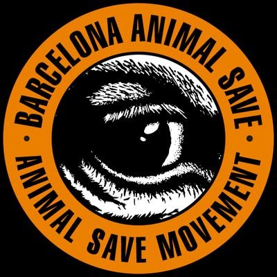 Somos parte de la ONG internacional Animal Save Movement.

Hacemos activismo por la liberación animal y acciones semanales.