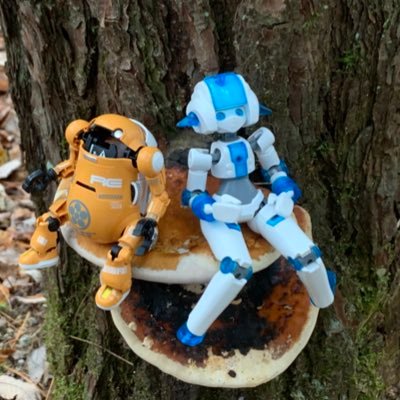 そらまめさんのプロフィール画像