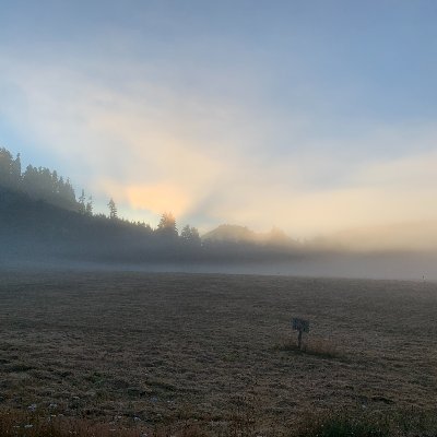 AGCfrosti's profile picture. 