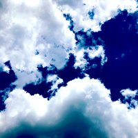 ashin greeen (@buddygoat612) 's Twitter Profile Photo