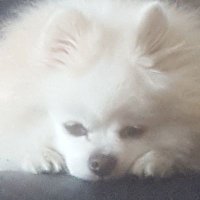 권예준 (@caffeine_ow) 's Twitter Profile Photo 권예준 (@caffeine_ow) 's Twitter Profile Photo