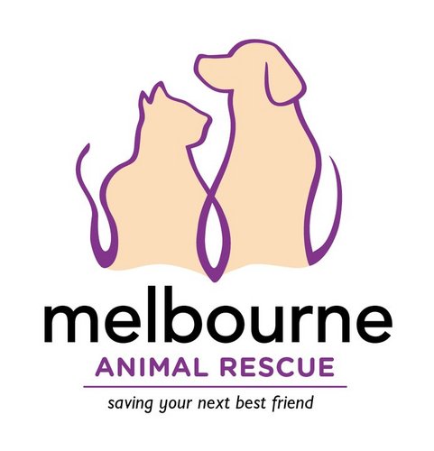 Melbourne Animal Rescue rescues and re-homes homeless dogs and cats. We do this via our dedicated network of foster carers.