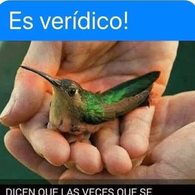 soy creativo espontáneo divertido cariñoso fiestero