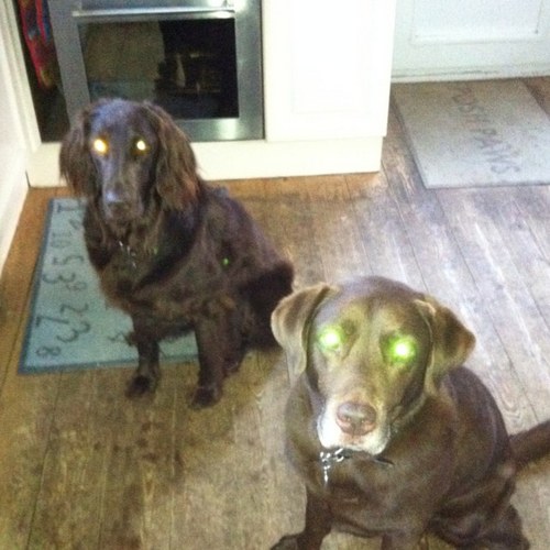 jennideakin's profile picture. 