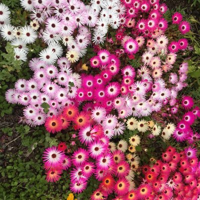 Demers7Demers's profile picture. 