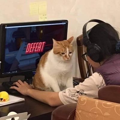 IAMStandUser's profile picture. akun shit, known not for everyone, love kocheng, criticism for anything and bloody hell. Minecraft pro-player. A place to shout the f*ck shit out of the life.