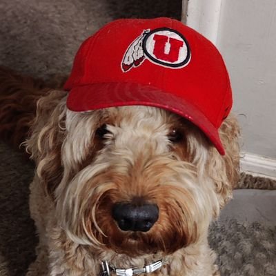 utahman3431's profile picture.