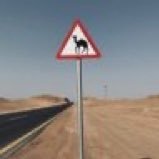 G0D9o's profile picture. 