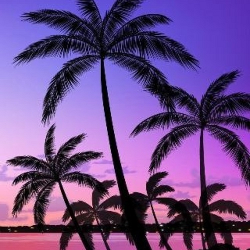 xMilaySlutrus's profile picture. 