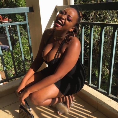 meikatozuka's profile picture. do what brings you joy