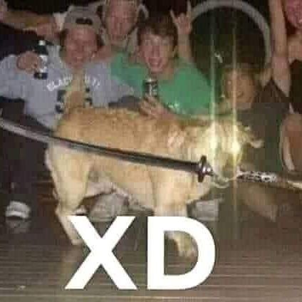 GaelToledo21's profile picture. Tengo🤑meri🤙coco😬frendy🥶tengo✨el🤧brody😃en🌪️el😪trap😈troterendy🧐gastofery😡prada🤢para🥵traketear🤏