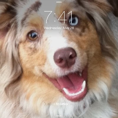 BindyandSailor's profile picture. Vote your conservative/liberal values bc THE LEFT DESTROYS EVERYTHING 🇮🇱🇺🇸E Pluribus Unum In God We Trust Liberty🇺🇸🙏🏻 for Dennis Prager