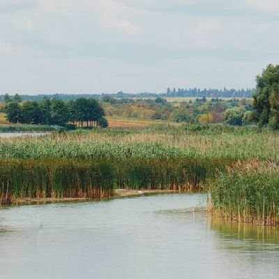 WitchvibesMe's profile picture. 🔮