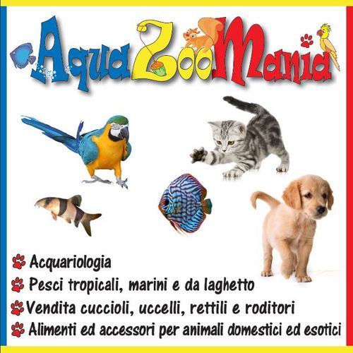 AquaZooMania è PetShop online, con negozi fisici a Scorzè e Noale in Veneto, che dal 2009 si occupa di acquariologia, animali, alimenti ed accessori.