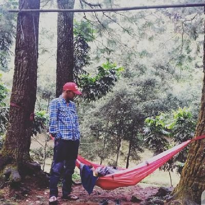 IPanjili's profile picture. indonesia tanah air beta