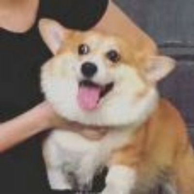 IvVrIstOCEY3Tig's profile picture. 蛤蛤蛤蛤