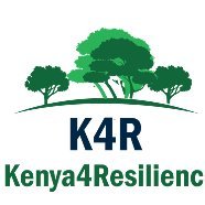 K4Resilience's profile picture. 
