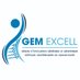 Réseau GEM-EXCELL (@excellgem) Twitter profile photo
