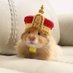 햄스터 아카이브 (@hamsterarchive_) Twitter profile photo 햄스터 아카이브 (@hamsterarchive_) Twitter profile photo