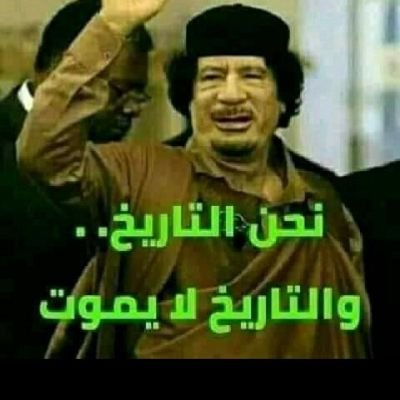 5FhB0dGN65kIcmk's profile picture. 