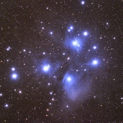 PleiadesM452's profile picture. Japanese Pokemon Go Trainer Level50