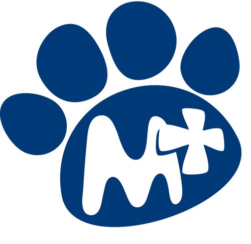Centro de rehabilitacion veterinaria para la recuperación funcional de mascotas. Gran equipo de especialistas y experiencia de 8 años en Madrid, Spain.