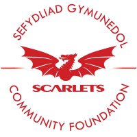 Scarlets Community Foundation(@CymunedScarlets) 's Twitter Profile Photo