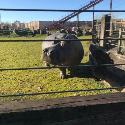 SimonCr03608336's profile picture. grumpy farmer,sick off bullshit