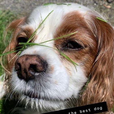 ldstallings Profile Picture