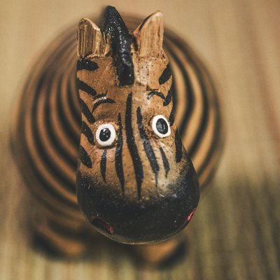 Empowering #ZebraStartups with #NoCode. A Co-Op of Business Builders.